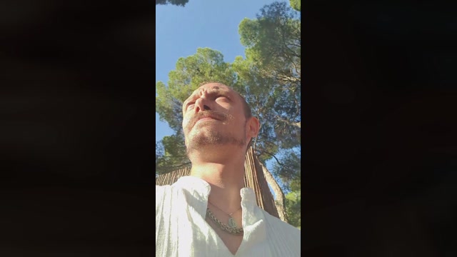 triporxs  04-06-2022